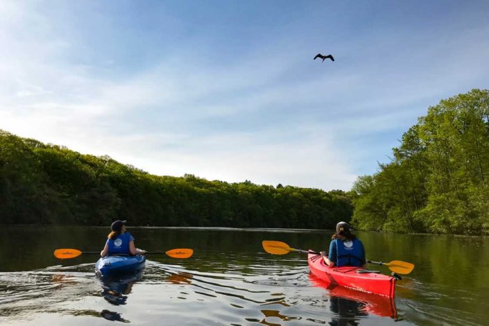 Kayaking on the Huron River in Ann Arbor