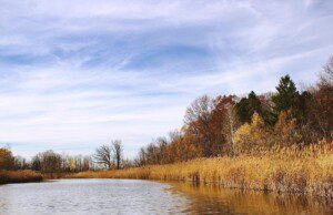 Auburn Hills Hawk Woods Park