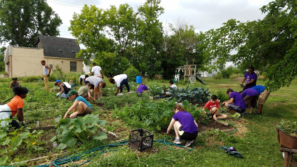 Group of people gardening in Detroit at urban garden volunteer opportunities