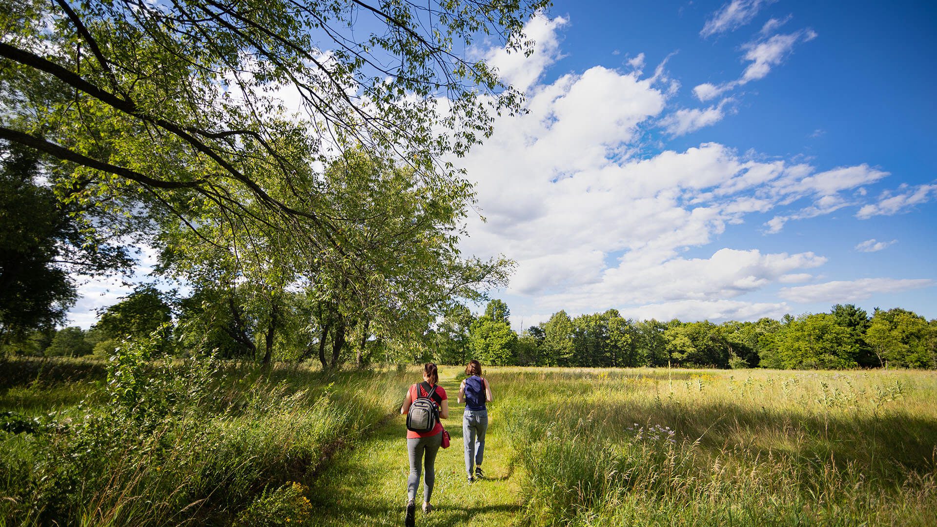 Stony Creek Metropark