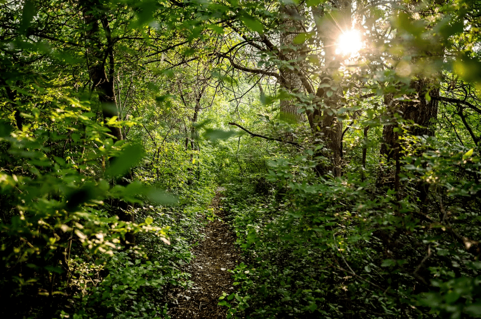 Crego Park, Lansing, MI