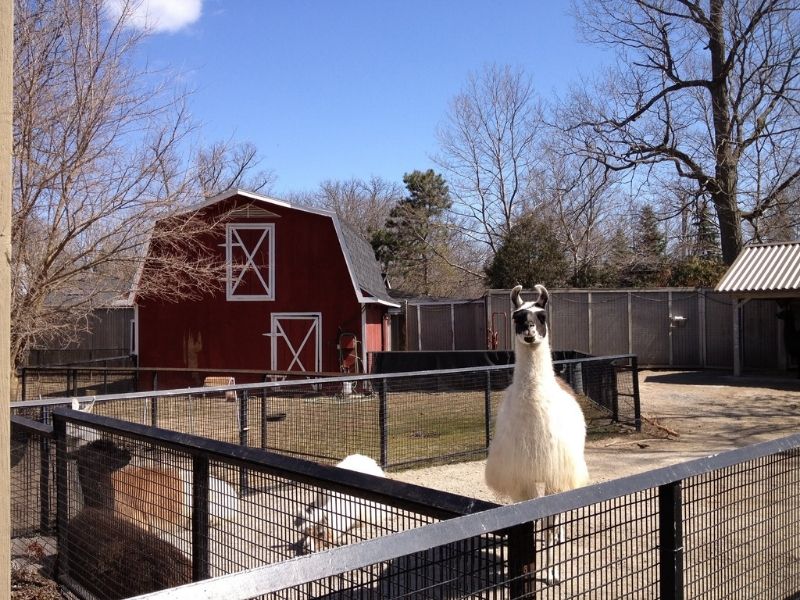 Potter Park Zoo